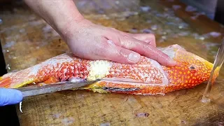 Japanese Street Food - GOLD SPOT WRASSE Sashimi Okinawa Seafood Japan