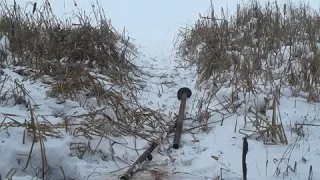 Причал на винтовых сваях своими руками 1ч.