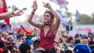 FESTIVAL EDM MIX 2019 - Best Mashup Progressive & Electro House Party Dance Music 2019