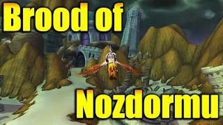 Brood of Nozdormu reputation farm guide