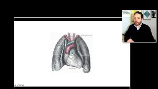 Dr. Felipe Ades - Câncer de pulmão: Anatomia do órgão