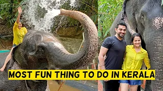 Elephant Bathing In Kerala | Thekkady Vlog Part 2 | Two Off To