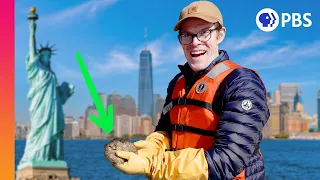 Can a Billion Oysters Save New York City?