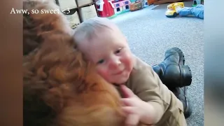 Dogs Babysitting Babies - Dogs and Babies are Best Friends Video