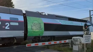 Passage d'un TGV InOui à Saint-Malo