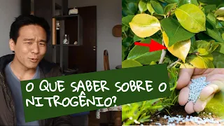 Entenda sobre o NITROGÊNIO NAS PLANTAS - O essencial.