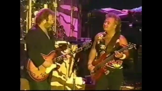 The Beach boys Live '95 California Dreamin