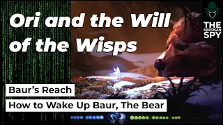 How to Wake Up Baur, The Bear | Baur's Reach | Ori and the Will of the Wisps