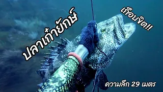 ดำน้ำหาปลาทะเล วันธรรมดาของเทพ