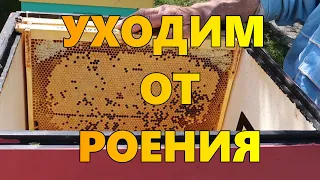 Уходим от роения.