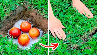 New Gardening Hacks That Will Blow Your Mind || Growing Hacks For Plant Lovers