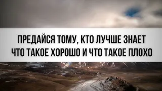 1045. Предайся тому, Кто лучше знает, что такое хорошо и что такое плохо || Ринат Абу Мухаммад