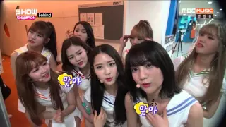 160412 오마이걸 (Oh My Girl) Cut