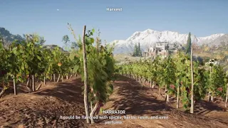 Wine Making in Ancient Greece (Cinematic)