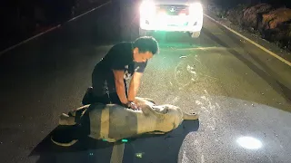 Baby elephant resuscitated by CPR after being hit by a motorcycle