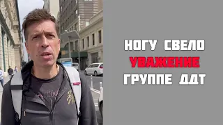 Группа «Ногу Свело» выразила слова уважения и поддержки Юрию Шевчуку и группе «ДДТ»