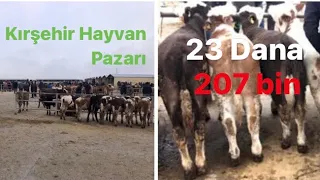 2022 Kırşehir Hayvan Pazarı / Fiyatlar Fena Yükseldi !!!!!