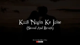 Kaali Nagin Ke Jaise (Slowed And Reverb)