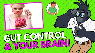 How The Gut Affects The Brain And Mind | The Gut Microbiome And Your Brain