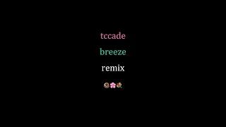 Breeze - Patterns ft. Shannon & Riemann (TCCADEMIX)