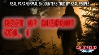 SN 16 EP 23 - BEST OF BIGFOOT VOL. 1 - SASQUATCH SIGHTINGS, REAL BIGFOOT ENCOUNTERS, SPOOKY STORIES