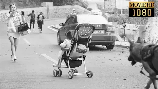 【MOVIE】The stroller slips and a police dog rescues the baby in a critical moment!