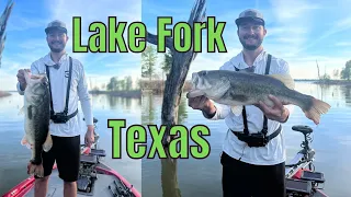 Bass Fishing Legendary Lake Fork Texas