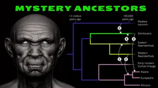 Who Were Our Mysterious Super-Archaic Ancestors?