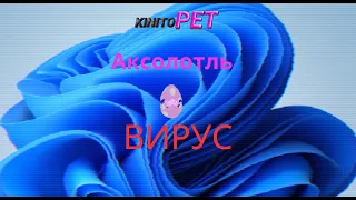 KinitoPet (1 Серия)