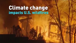 Climate change impacts U.S. wildfires