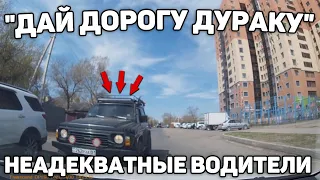 Автоподборка "Дай Дорогу Дураку"🛑Неадекватные Водители#253