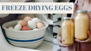 Make Fresh Eggs Last for 2 Years
