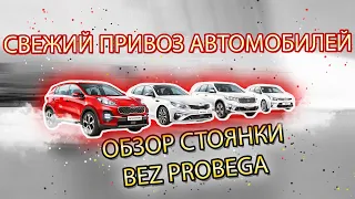 Свежий привоз авто "БЕЗ ПРОБЕГА"  HONDA VEZEL I Santa Fe  I Kia K5 I Forester I Sportage