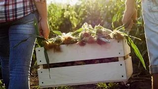 Let's Celebrate Canada's Agriculture Day!