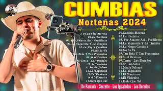 cumbias norteñas mix 2024(los dorados - los igualados - de parranda- Secretto )Norteñas Para Bailar