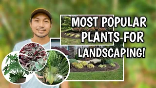 MOST POPULAR PLANTS FOR LANDSCAPING