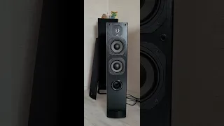 Focal chorus 715