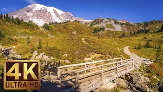 Mount Rainier National Park. Episode 2 - 4K Nature Documentary Film