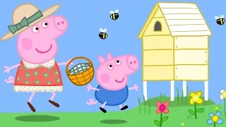 Peppa Pig en Español Episodios completos -  Peppa Pig Abejas y miel! - Pepa la cerdita