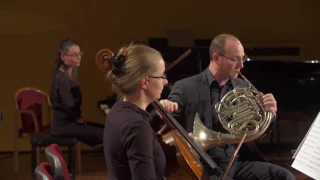 Béla Bartók: Romanian Folk Dances (arr. Andreas Luca Beraldo) Live performance, Budapest, 12/16/16