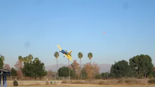 Vine: Squirrel Steals Airplane (80's version)