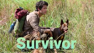 Survivor//Joel Dawnson