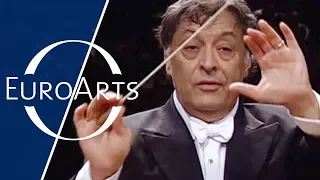 Brahms - Symphony No. 2 in D major, Op. 73 (Zubin Mehta & Israel Philharmonic Orchestra)