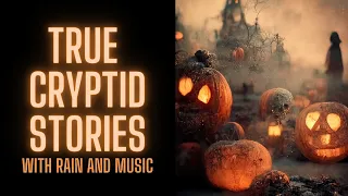 TRUE Cryptid Stories in the Rain | With Rain and Music | COMP | @RavenReads