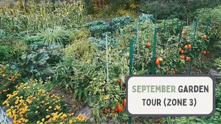 Garden Tour September 2023 (Zone 3 Minnesota)