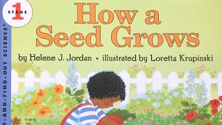 How a Seed Grows - Bobby's Backyard - Story Time