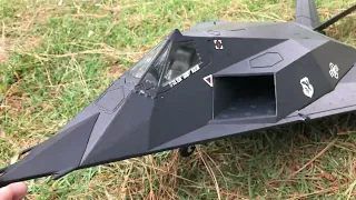 Sky Flight F-117 Nighthawk.. will she be a witch again ? Or a lady ?