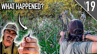 RUNNING DOWN a Public Land Buck! Almost Everything Went As Planned