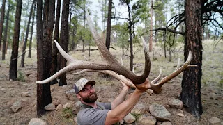 FINALLY FOUND MY DREAM SET OF ELK ANTLERS 🔥