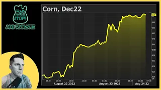 Corn Prices SURGE - Why?